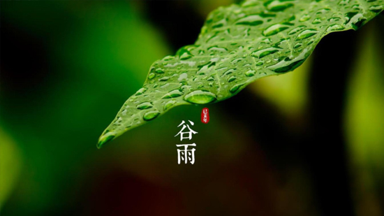 谷雨|喝一杯純凈好水，沐一場人間春色